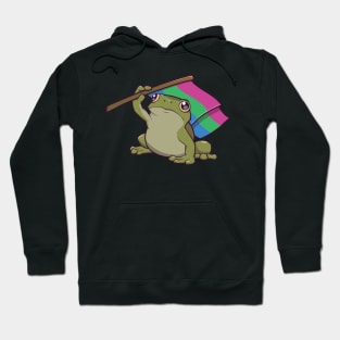 Polysexual Pride Flag-Holding Frog Hoodie